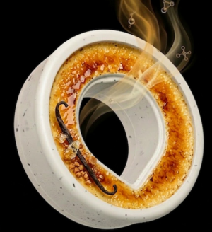 Crème Brûlée Vanille Bourbon